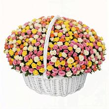 Премиум букет из: Розы #REPLACE_PRED# Новозолотовской