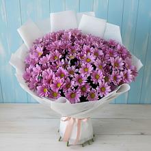 Букет цветов из:  Хризантемы #REPLACE_PRED# Новозолотовской