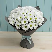 Букет цветов из:  Хризантемы в Новозолотовской