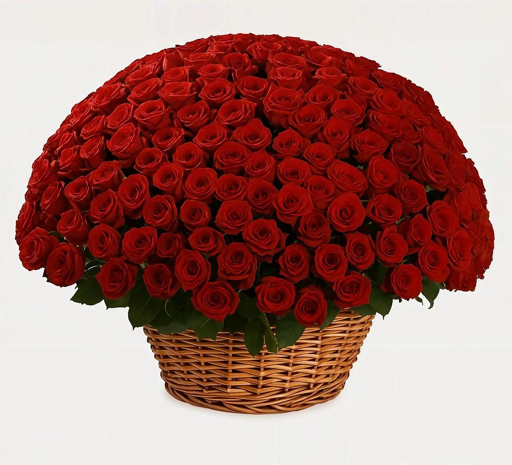 Премиум букет из: Розы в Новозолотовской