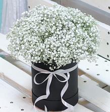 Цветочная композиция из Гипсофила в шляпной коробке #REPLACE_PRED# Новозолотовской
