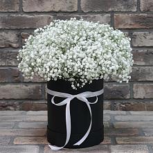 Цветочная композиция из Гипсофила в шляпной коробке #REPLACE_PRED# Новозолотовской