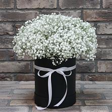 Цветочная композиция из Гипсофила в шляпной коробке в Новозолотовской